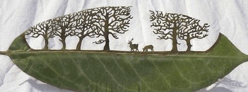 樹葉激光雕刻樣品圖